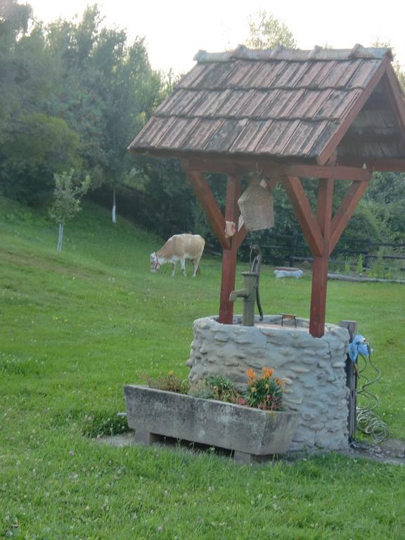 Pensiunea Arpasel Arpaşu de Sus 外观 照片